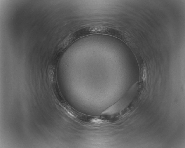 X0000054370227200508191855