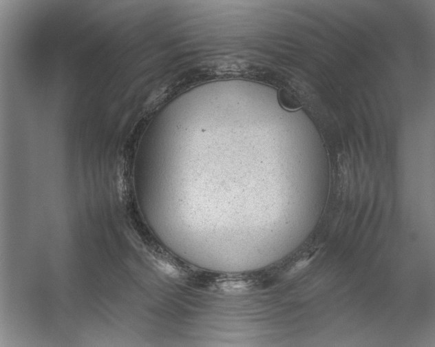 X0000054370228200508191855