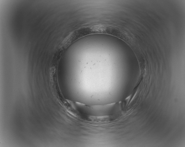 X0000054370229200508191855