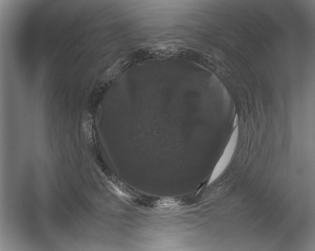 X0000054370231200508191855