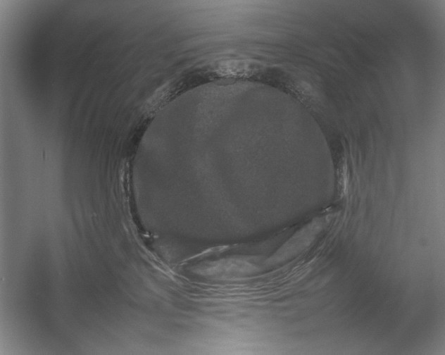 X0000054370233200508191854