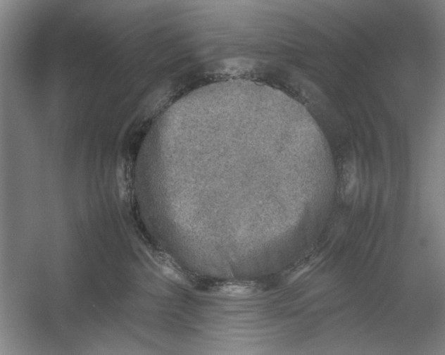 X0000054370236200508191854