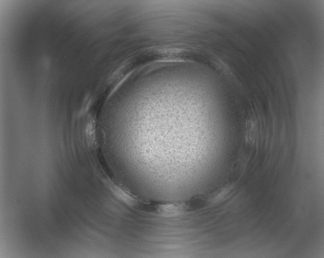 X0000054370238200508191854