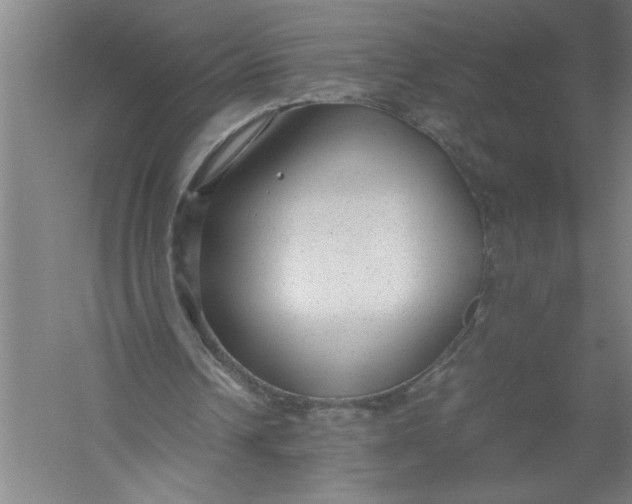 X0000054370242200508191854