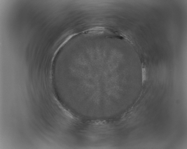 X0000054370243200508191854