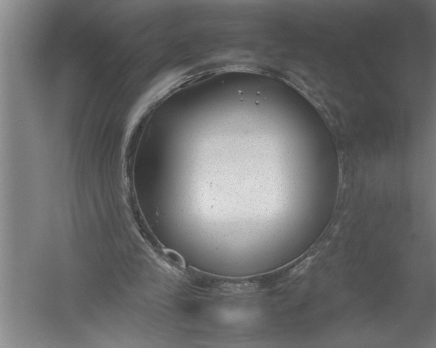 X0000054370245200508191854