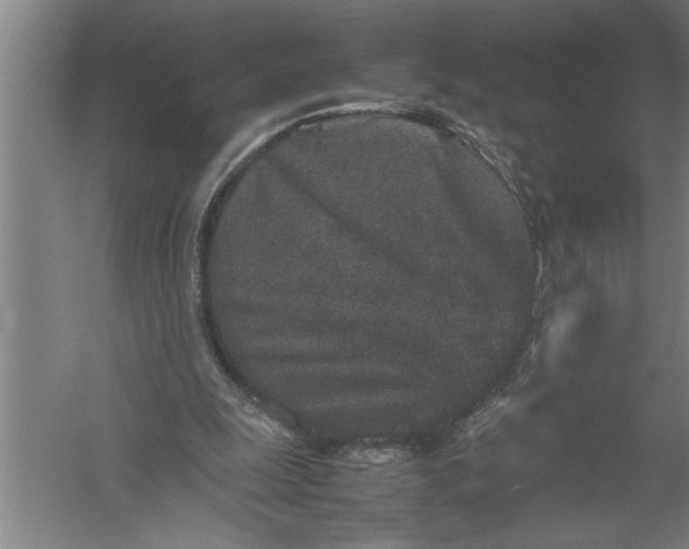 X0000054370247200508191854