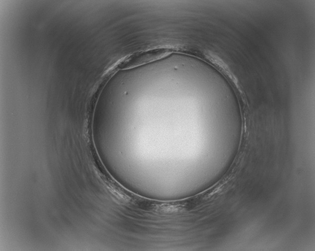 X0000054370249200508191854