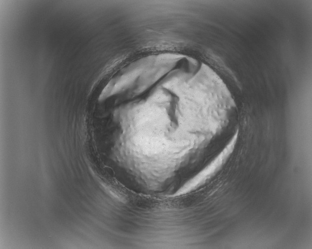 X0000054370250200508191854