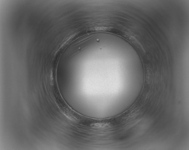 X0000054370251200508191854