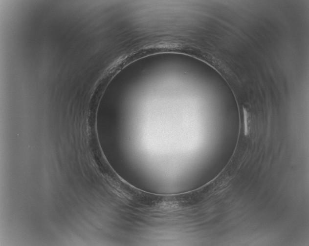 X0000054370252200508191854