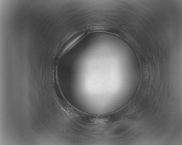 X0000054370255200508191854