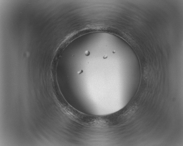 X0000054370256200508191854