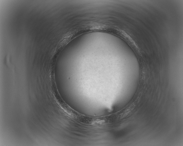 X0000054370257200508191854