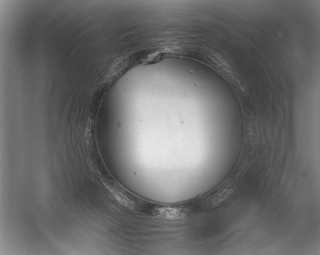 X0000054370265200508191854