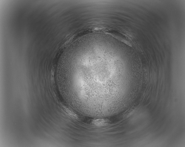 X0000054370269200508191854