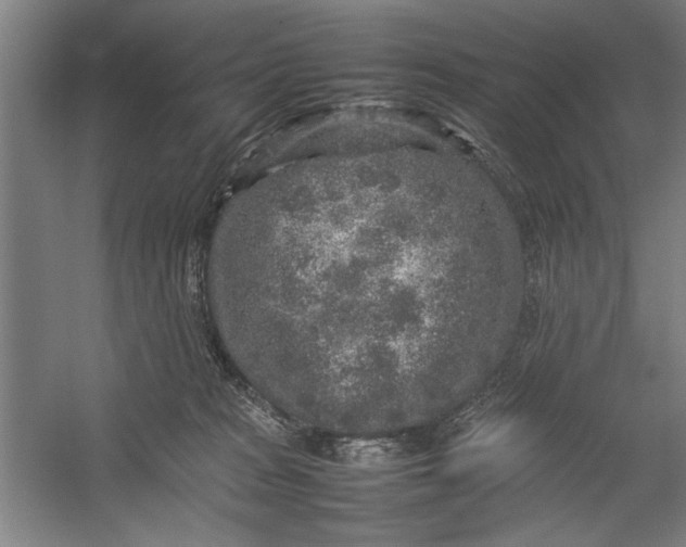 X0000054370277200508191854