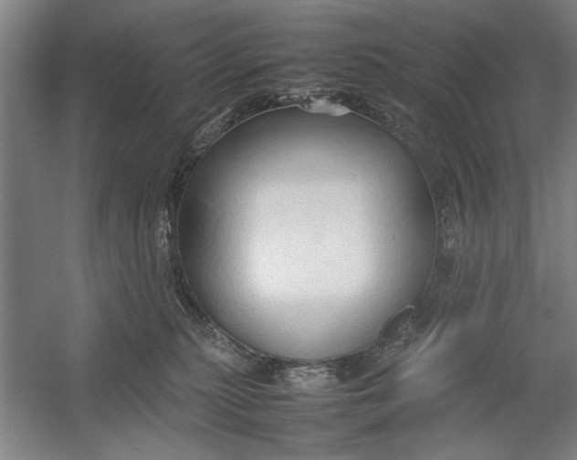 X0000054370279200508191854