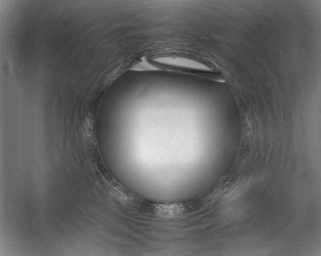 X0000054370281200508191854