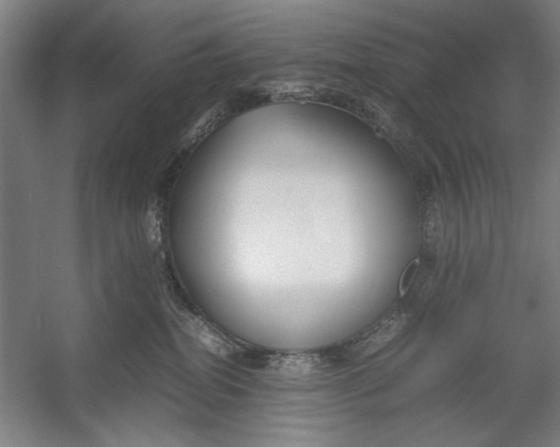 X0000054370282200508191854