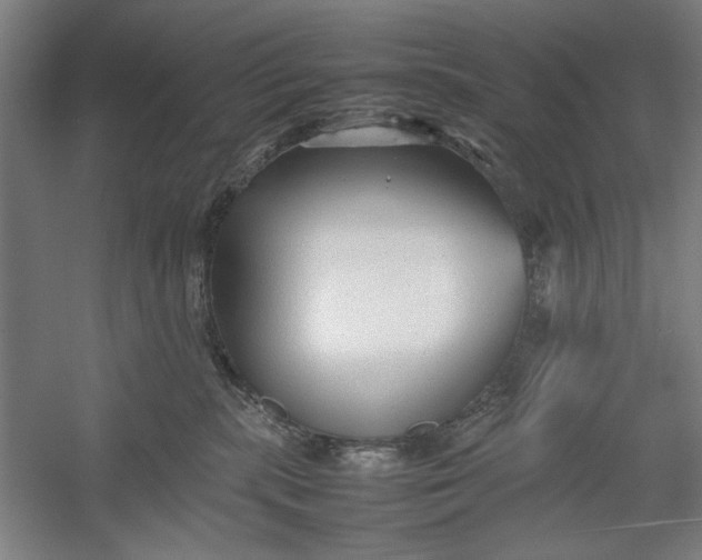 X0000054370283200508191854