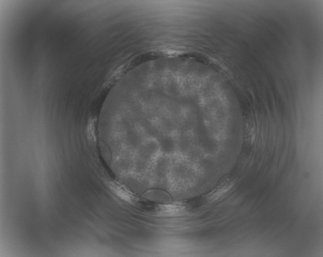 X0000054370286200508191854