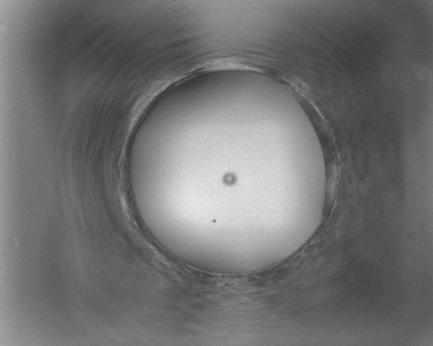 X0000054370289200508191854