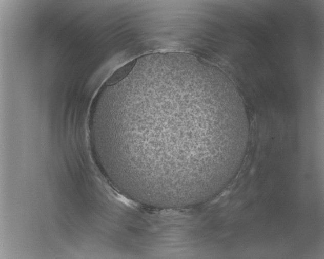 X0000054370290200508191854