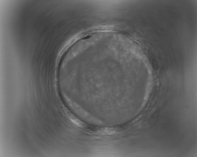 X0000054370293200508191853