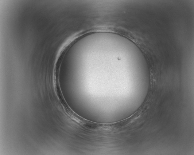 X0000054370294200508191853