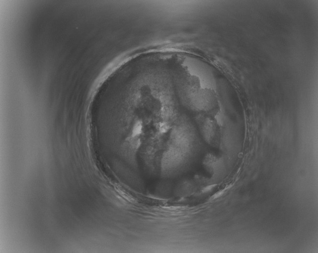 X0000054370295200508191853