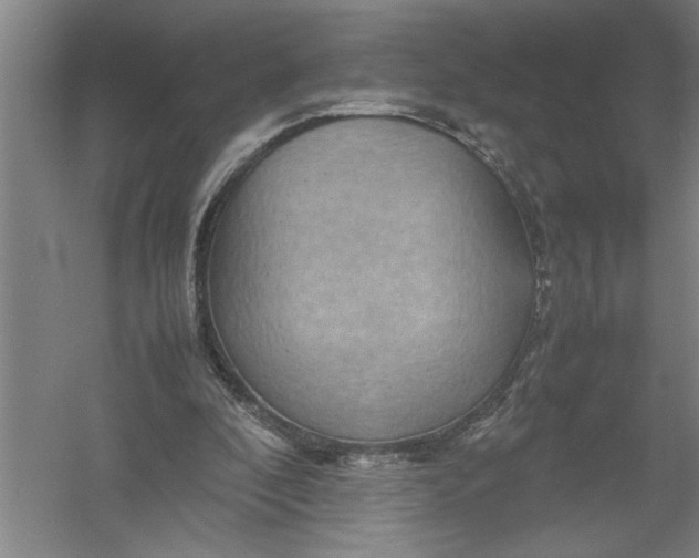 X0000054370296200508191853