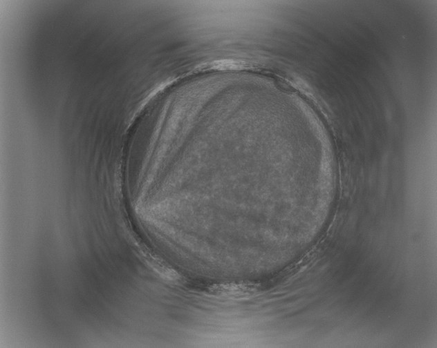 X0000054370297200508191853