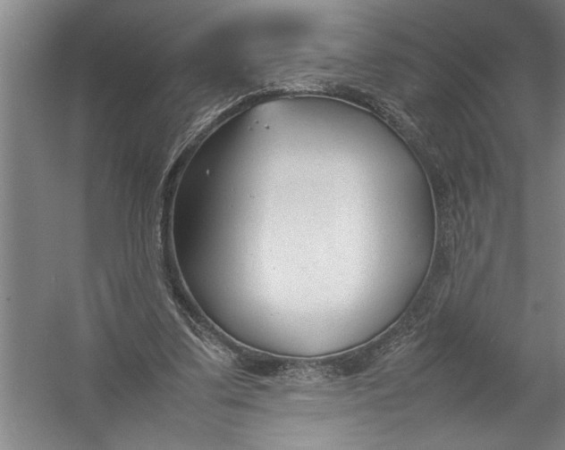 X0000054370299200508191853