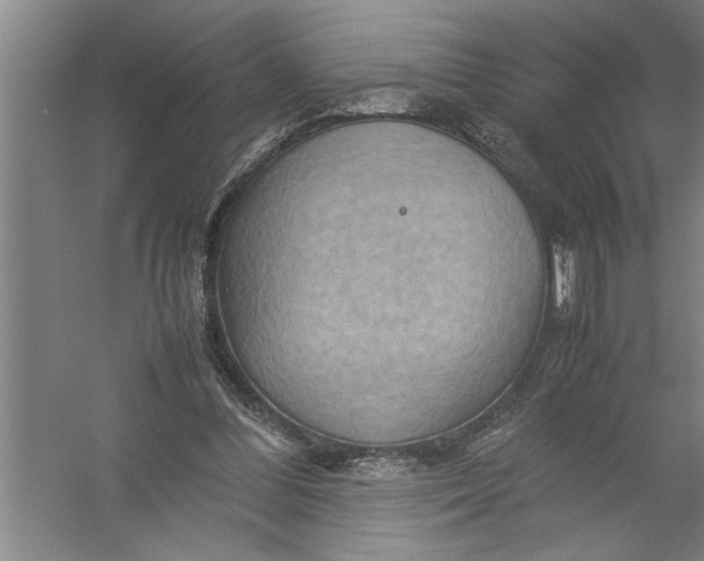 X0000054370300200508191853