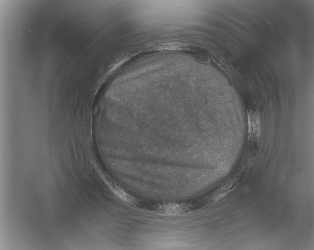 X0000054370301200508191853