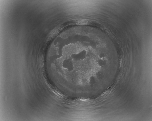 X0000054370303200508191853