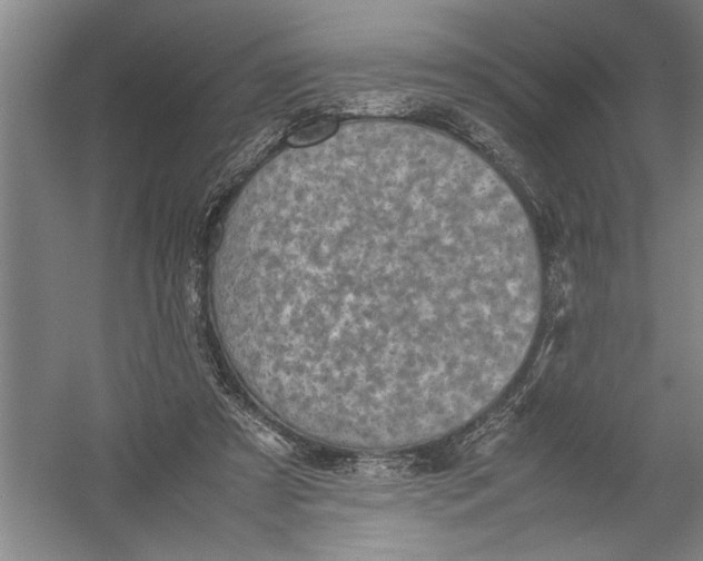 X0000054370305200508191853