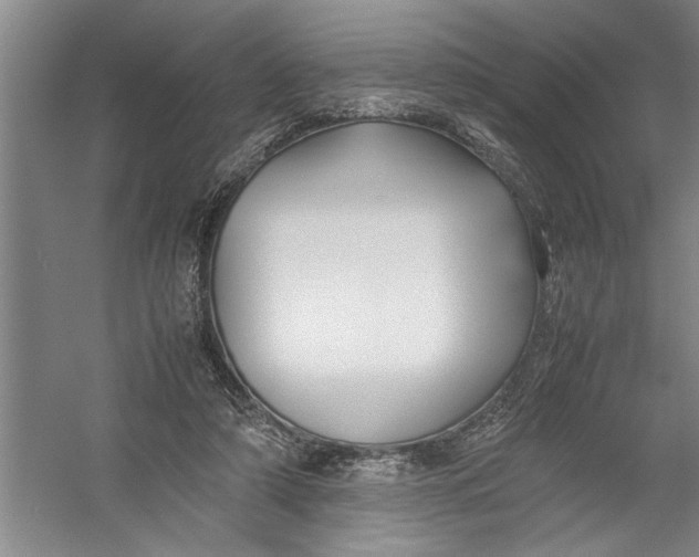 X0000054370306200508191853