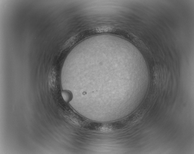 X0000054370308200508191853