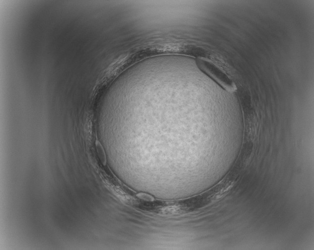 X0000054370309200508191853