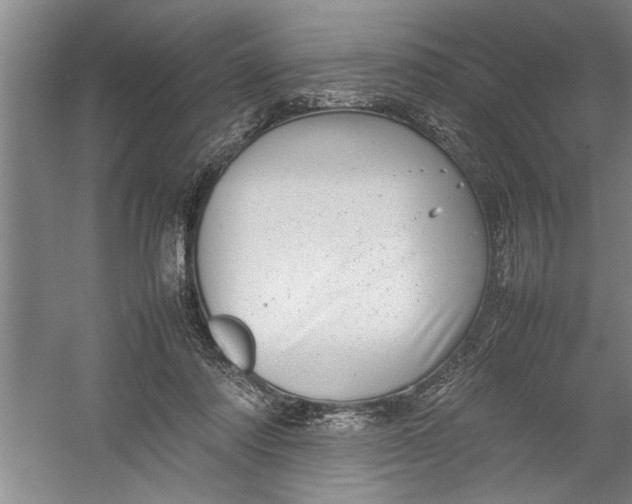 X0000054370310200508191853