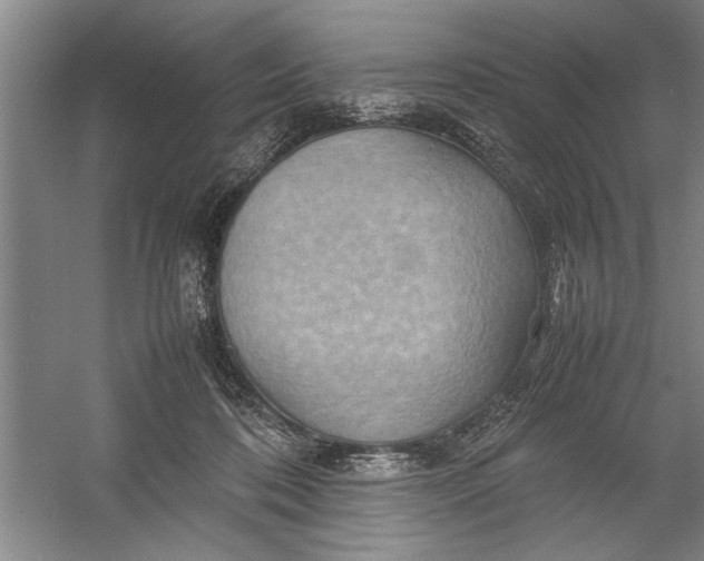 X0000054370316200508191853