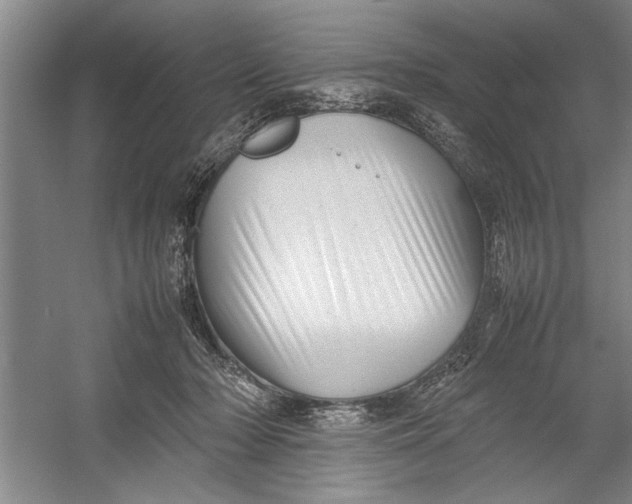 X0000054370318200508191853