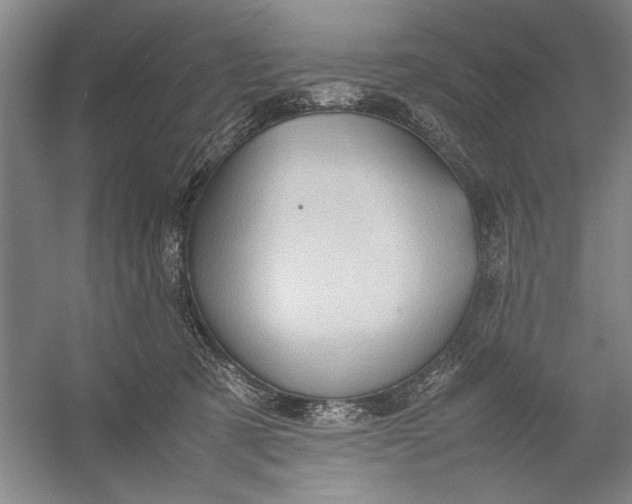 X0000054370321200508191853