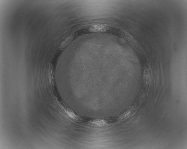 X0000054370322200508191853