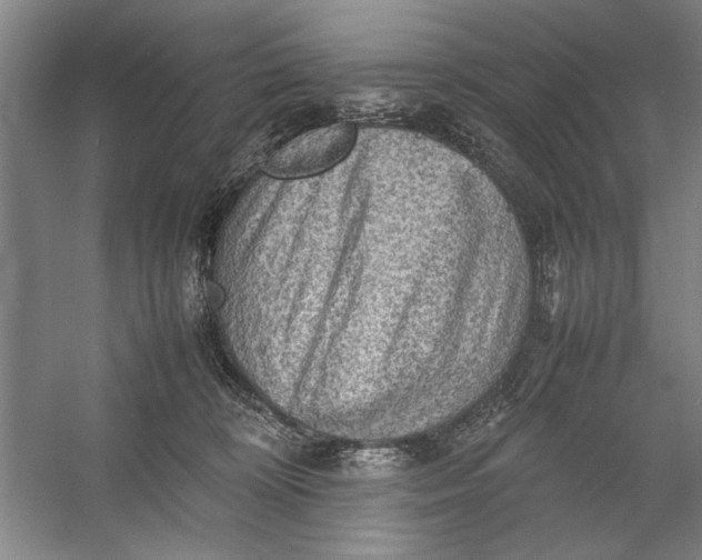 X0000054370324200508191853