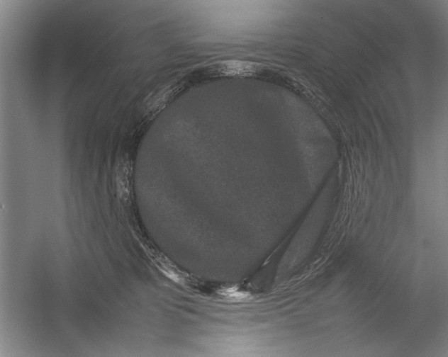 X0000054370325200508191853