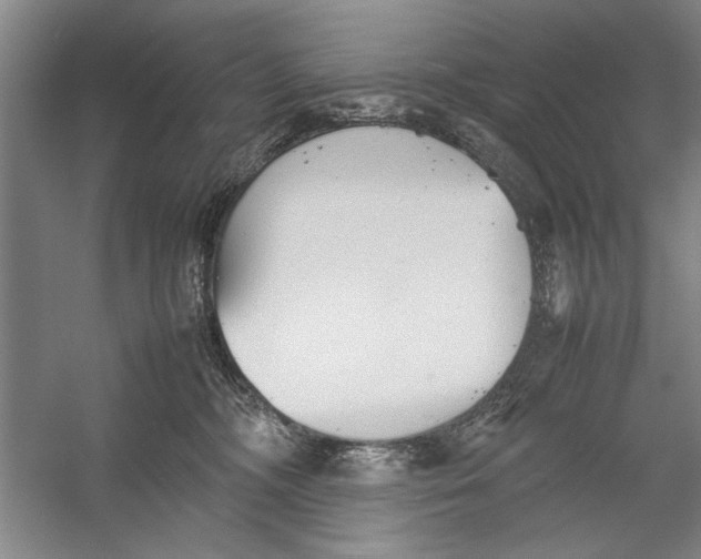 X0000054370326200508191853