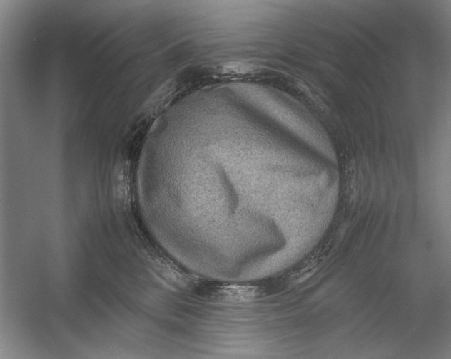 X0000054370328200508191853